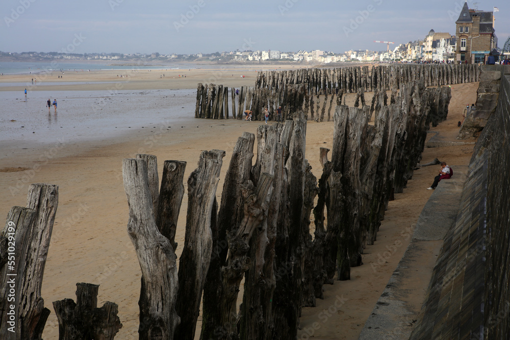Wooden poles - Beach protection -  Saint Malo - Ile-et-Vilaine - Brittany - France
