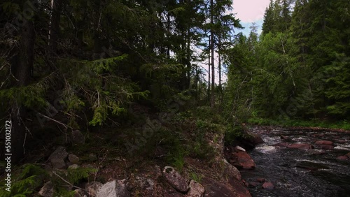 Beautiful Evergreen Forest River In The Nordic Wilderness. Revealing shot of the environment, stream with gray and browned boulders, tall pine and birch trees and gray cliff. Low Angle View