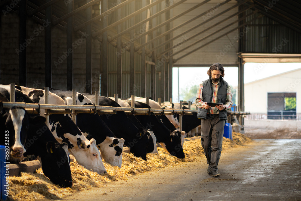 Farmer with a digital tablet in a cow farm. Herd management concept Farmer with a digital tablet in a cow farm. Herd management concept