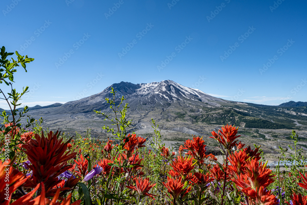 landscape of mount Saint Helens in spring