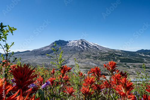 Obraz na płótnie landscape of mount Saint Helens in spring w salonie