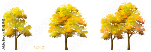 Vector watercolor of tree side view isolated on white background for landscape and architecture drawing, elements for environment and garden, painting botanical for section in autumn