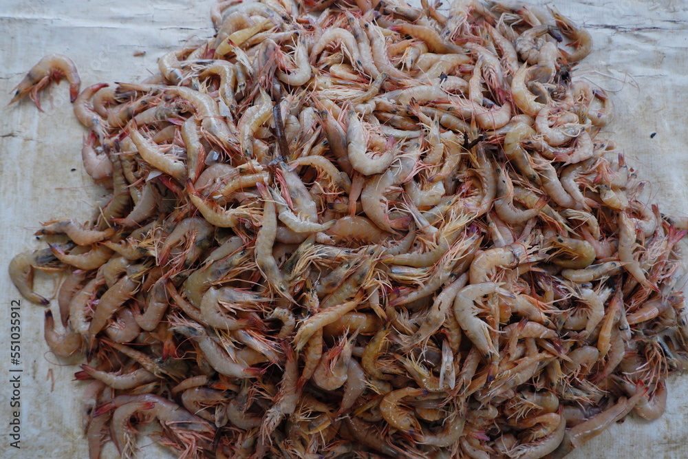 pile of fresh shrimp from fishermen being sold in the market	