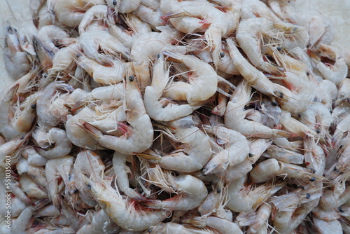 pile of fresh shrimp from fishermen being sold in the market	