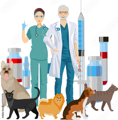 Pet veterinarian. Veterinary doctor checking and treating animals. Idea of pet care. Veterinarian dogs cat characters. Vector Illustration photo