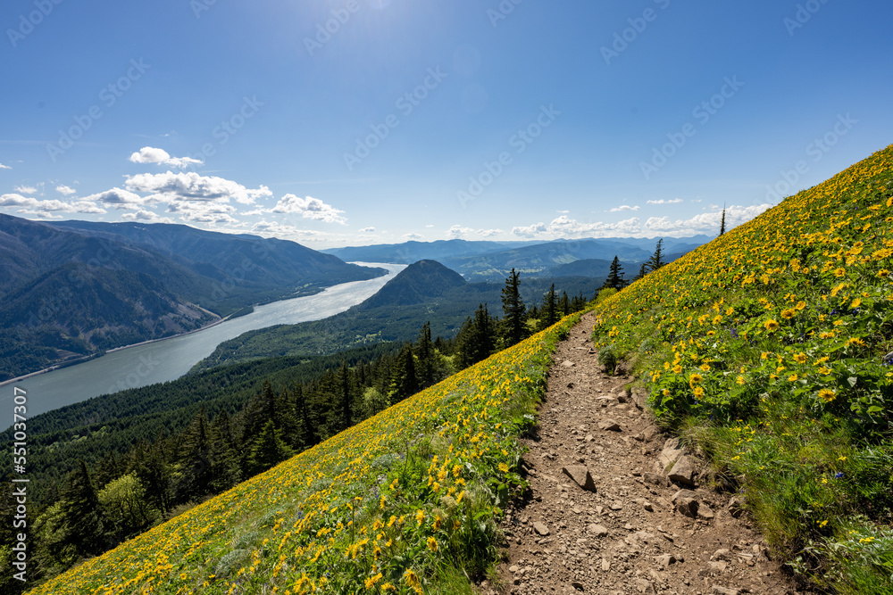 landscape with flowers, river and clouds in columbia river gorge