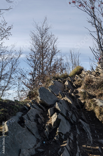 Fototapeta Naklejka Na Ścianę i Meble -  Połonina Wetlińska  - Bieszczady 