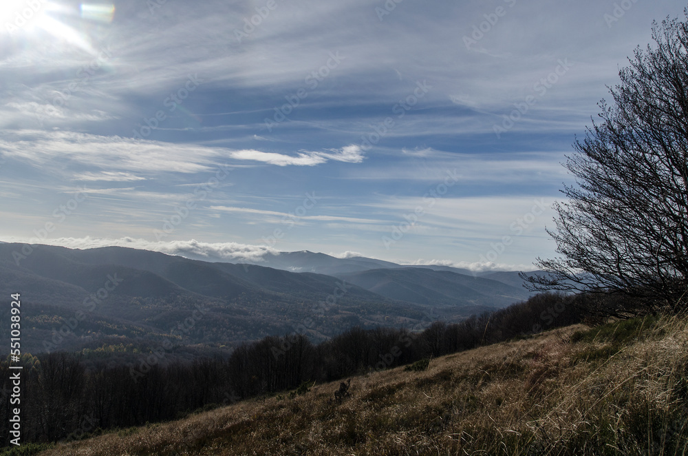 Połonina Wetlińska - Bieszczady Połonina Wetlińska - Bieszczady