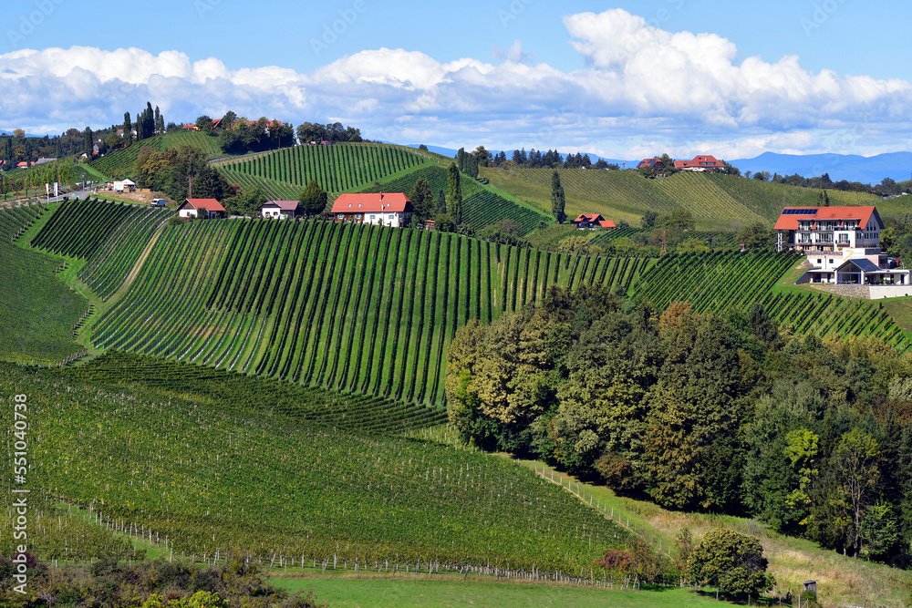 Austria, Styria, Styrian Wine Route