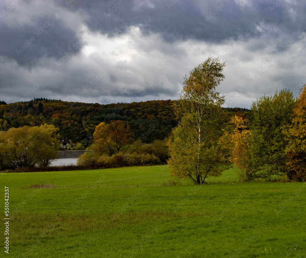 autumn in the park