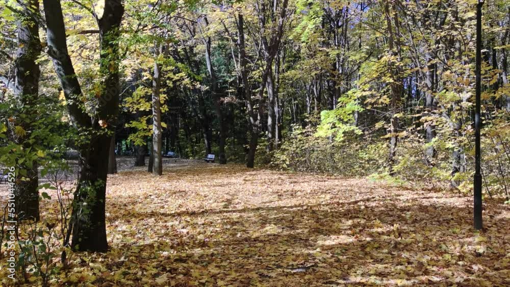 Amazing Autumn view of South Park in city of Sofia, Bulgaria Amazing Autumn view of South Park in city of Sofia, Bulgaria