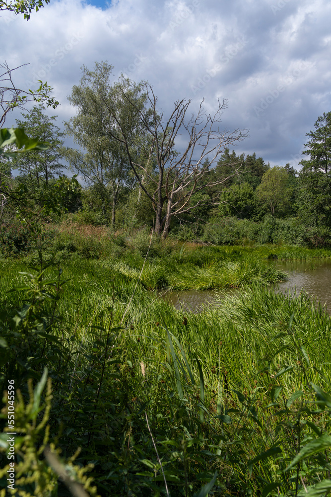 Kleiner See bei Sambachshof im Naturpark Haßberge, Landkreis Rhön-Grabfeld, Unterfranken, Franken, Bayern, Deutschland Kleiner See bei Sambachshof im Naturpark Haßberge, Landkreis Rhön-Grabfeld, Unterfranken, Franken, Bayern, Deutschland