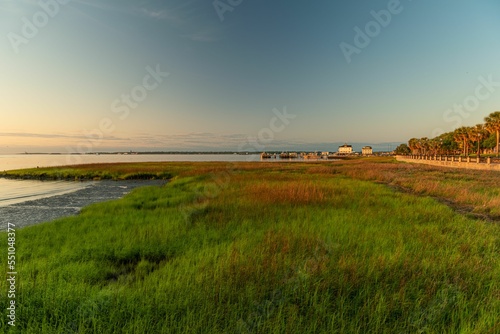 Early morning view over cordgrass with seascape view purple sky and sunlight background photo