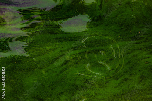 abstract background with water close up 