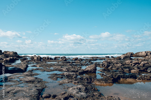 rocks on the beach