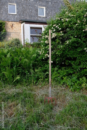 2021 Sonstwas 18 In der Wiese vor dem Gebüsch steckt eine Mistgabel photo