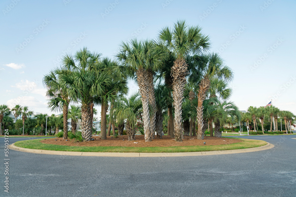 Roundabout with palm trees in the middle at Destin, Florida