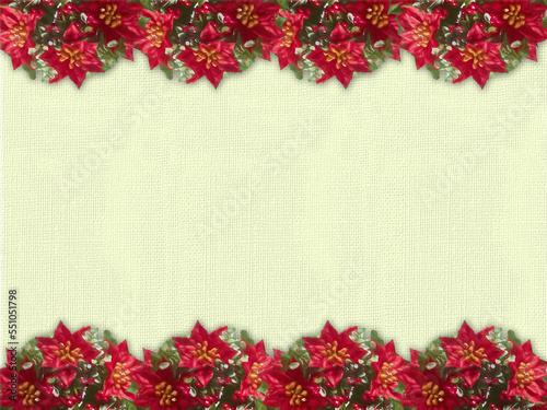 Winter canvas background with poinsettia on both sides. Canvas texture. Christmas, New Year.