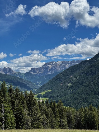 Picturesque view of mountain hill, forest, sky and clouds. Scenic nature landscape. Summer vacation travel © Floral Deco