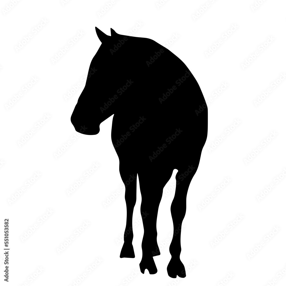  Horse black silhouette Vector illustration.