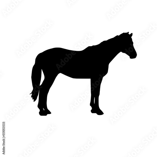  Horse black silhouette Vector illustration.