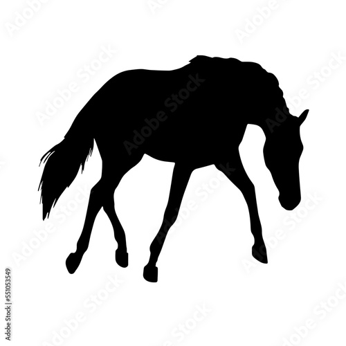  Horse black silhouette Vector illustration.