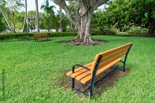 Two wooden bench on a grass field under the tree at Miami, Florida