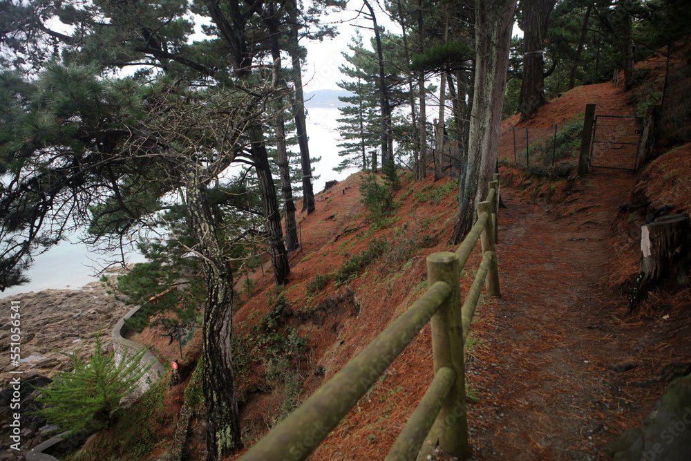 Coastal walking path around Rance river estuary - Dinard - Saint Servan - Saint Malo - Ile-et-Vilaine - Brittany - France Coastal walking path around Rance river estuary - Dinard - Saint Servan - Saint Malo - Ile-et-Vilaine - Brittany - France