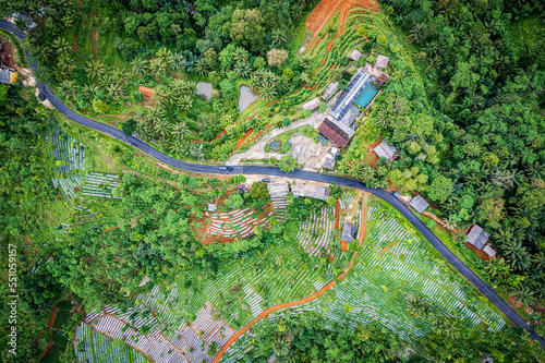 Bukit Baruno