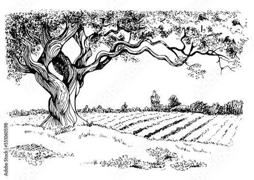 Rural landscape, tree and farm. Vector hand drawn vintage engraved sketch.
