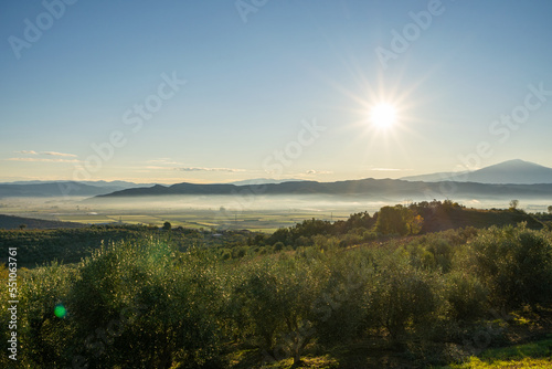 Maremma countryside panoramic view, olive trees, rolling hills and green fields. Sea on the horizon. Casale Marittimo, Pisa, Tuscany Italy Europe. © netdrimeny