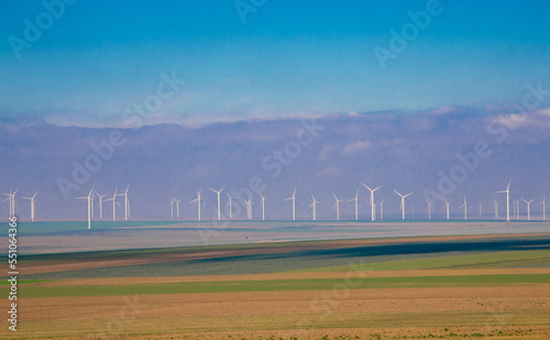 Many wind turbines on a field in Tulcea county - Romania photo