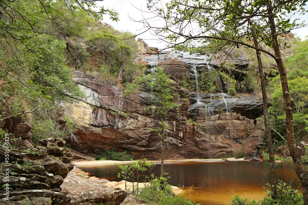 Fototapeta premium Wild nature with trees and small lake. Tree and vegetation. Waterfall through rocks in the middle of the forest in Minas Gerais.