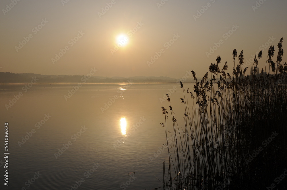 Sonnenaufgang am Bodensee Sonnenaufgang am Bodensee