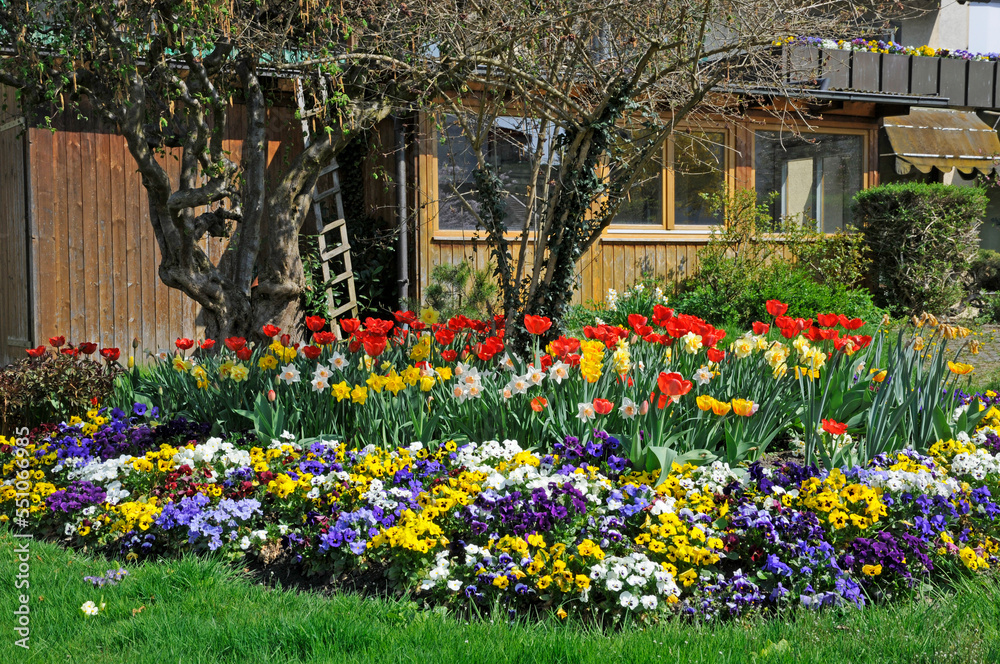 Obraz premium Blumengarten im Frühling