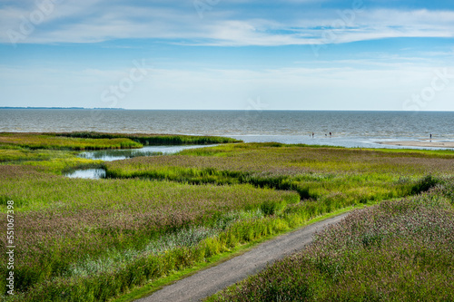 Path leading through coastal meadows to the Baltic Sea. Kavaru coastal meadows. Estonia.