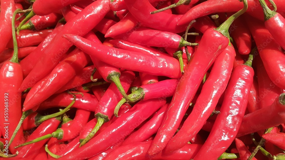 Close-up of big red chili peppers or Capsicum annum L
