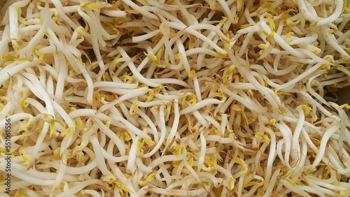 Close-up of fresh bean sprouts