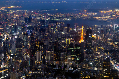 東京の夜景空撮 © northsan