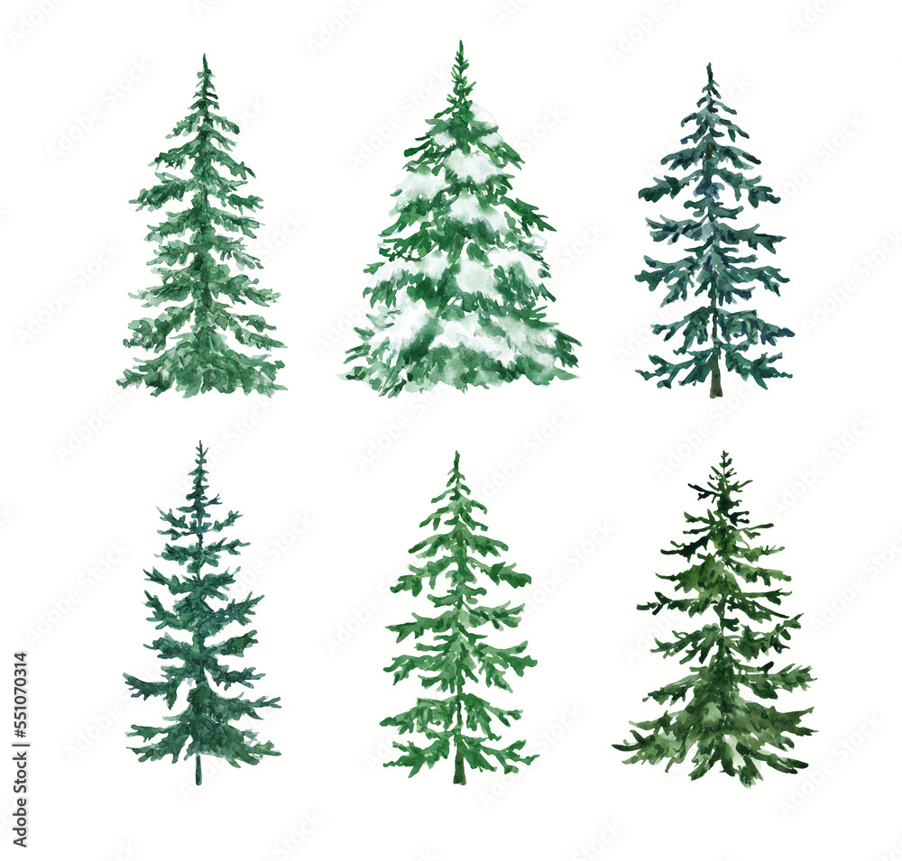 Watercolor evergreen trees set. Hand-painted pine forest illustration. Natural elements, isolated on white background.