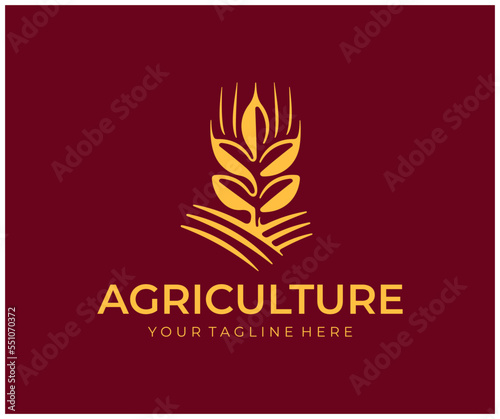 Wheat ears or spikelets with grains, whole grains and cereals grain, logo design. Agriculture, cereals harvest, farming, healthy food and bakery, vector design and illustration