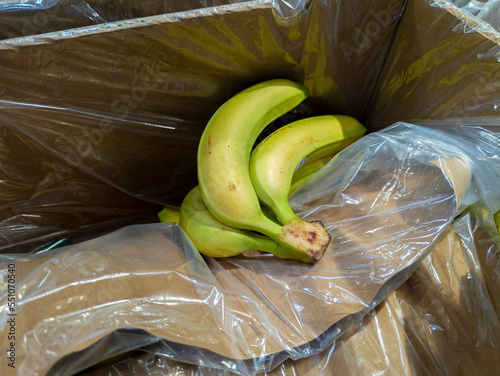 Canarian bananas in cardboard boxes in a supermarket ready for sale photo