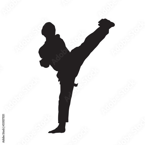 Illustration karate fighter wearing uniform isolated vector silhouette. on white background.