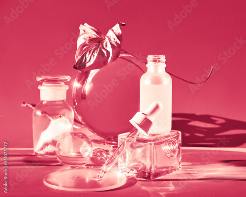 Viva Magenta color of the year 2023. Moisturizing serum, glass bottles with distorted leaves. with blank bottle. Serum in milky white glass vial with pipette. Glass arrangement with dry exotic plants. photo