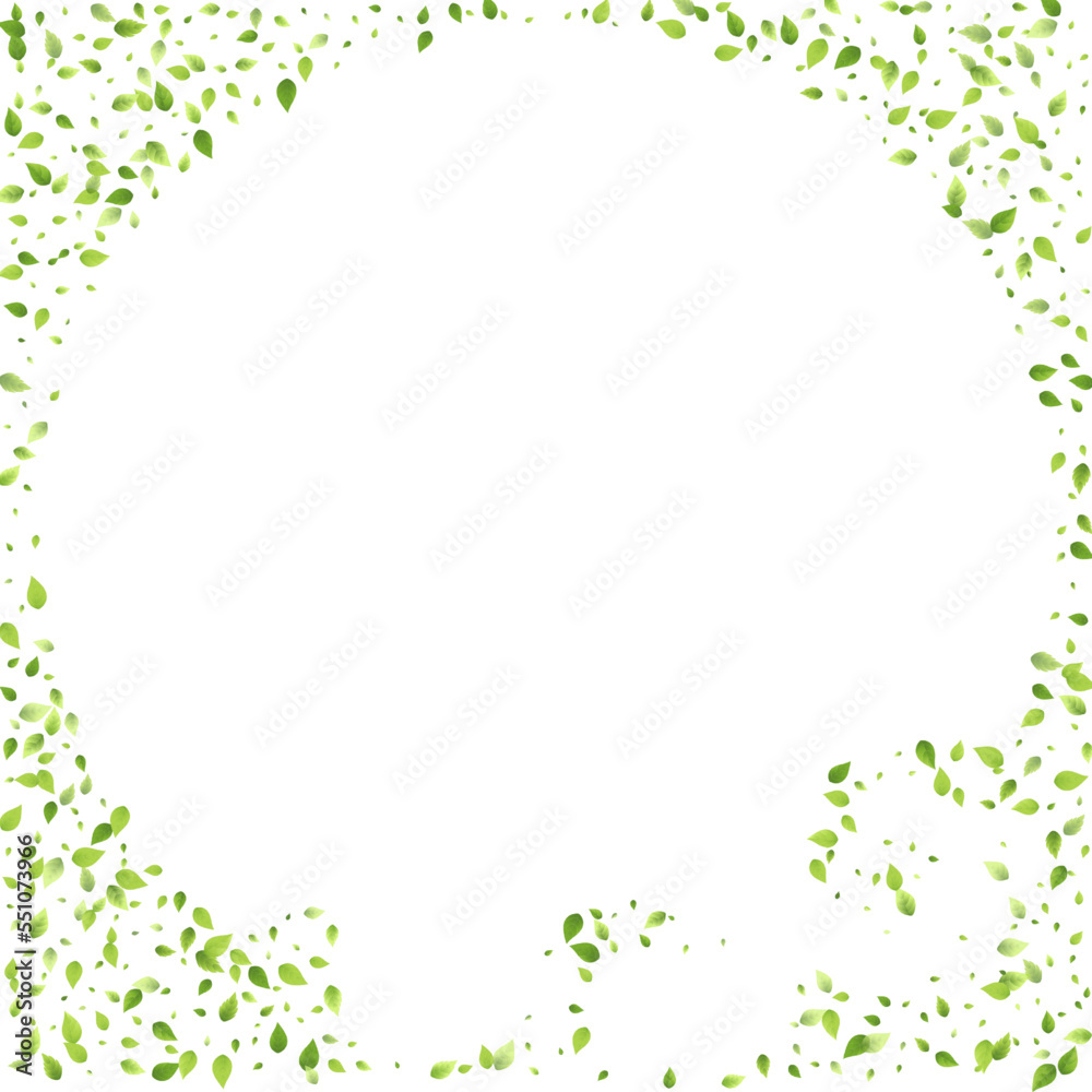 Leaves Green Falling Flying Foliage Leaf Tea Mint Leaves Green Falling Flying Foliage Leaf Tea Mint