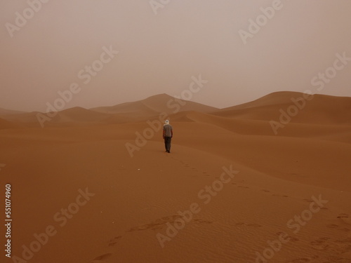 Desierto Sahara Arena Camellos