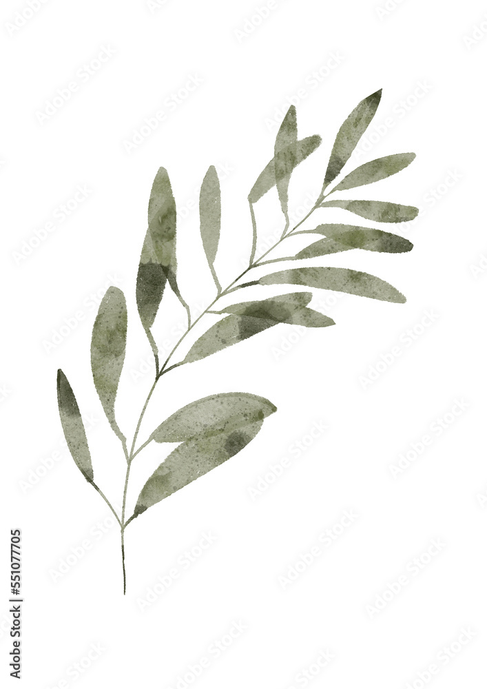Greenery watercolor leaves. Green leaf on the white isolated background. 