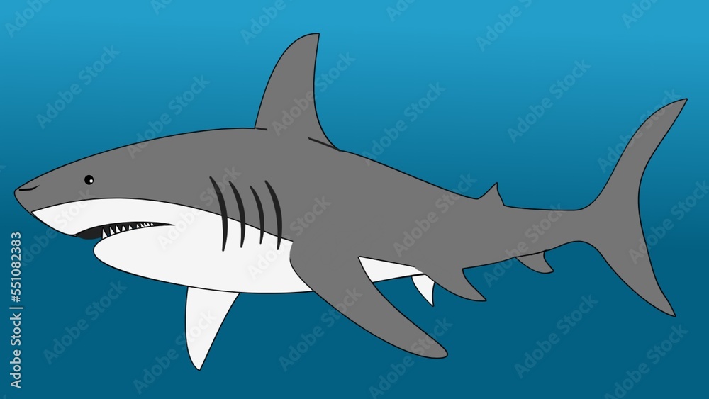 Illustration of a shark in the sea