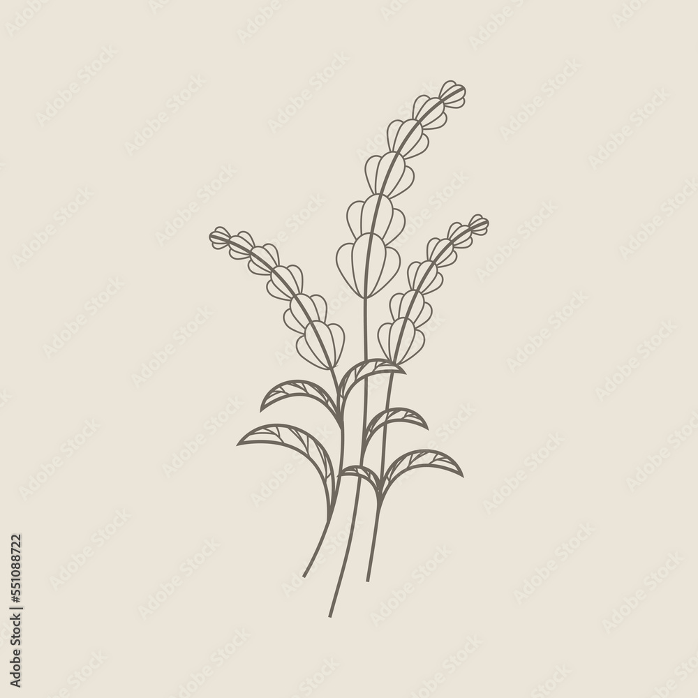 Naklejka premium Floral Hand Drawn Design Elements