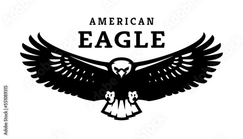 American eagle in flight logo, symbol. Vector illustration.